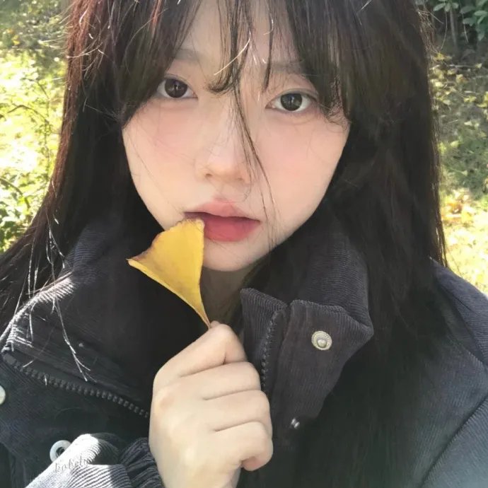 抬杠 海报