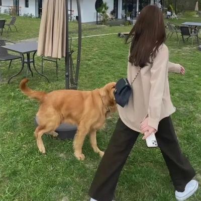 守林者第二季 海报